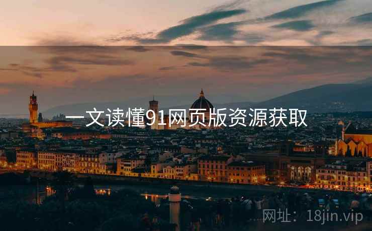 一文读懂91网页版资源获取