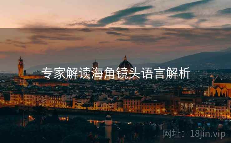 专家解读海角镜头语言解析