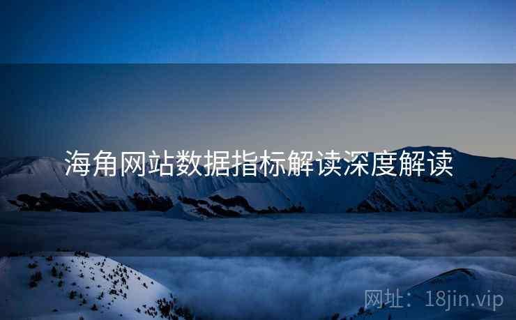 海角网站数据指标解读深度解读